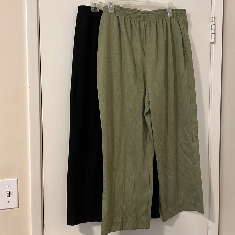 Two pairs Alfred Dunner Petite/L pants
